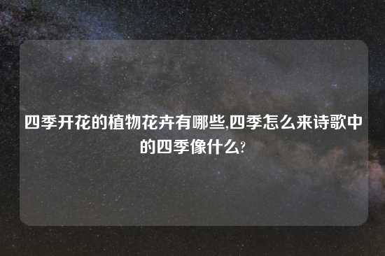 四季开花的植物花卉有哪些,四季怎么来诗歌中的四季像什么?