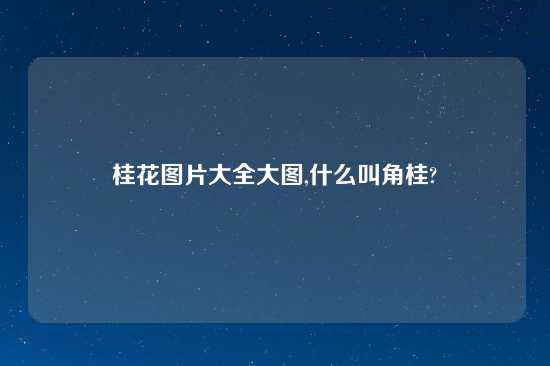 桂花图片大全大图,什么叫角桂?