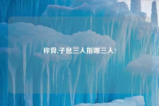 称骨,子息三人指哪三人?
