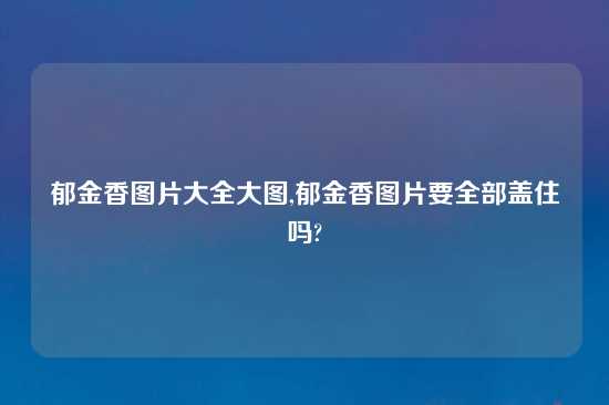郁金香图片大全大图,郁金香图片要全部盖住吗?