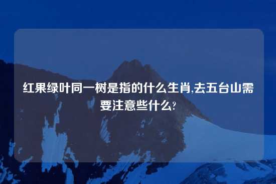 红果绿叶同一树是指的什么生肖,去五台山需要注意些什么?