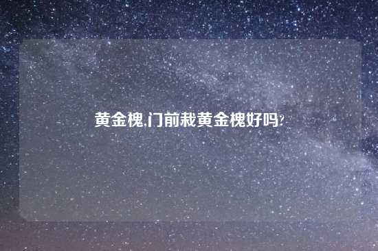 黄金槐,门前栽黄金槐好吗?