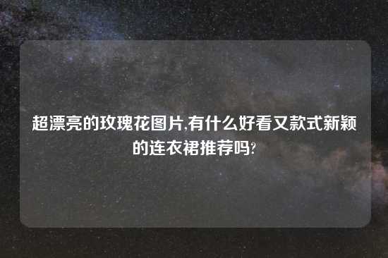 超漂亮的玫瑰花图片,有什么好看又款式新颖的连衣裙推荐吗?