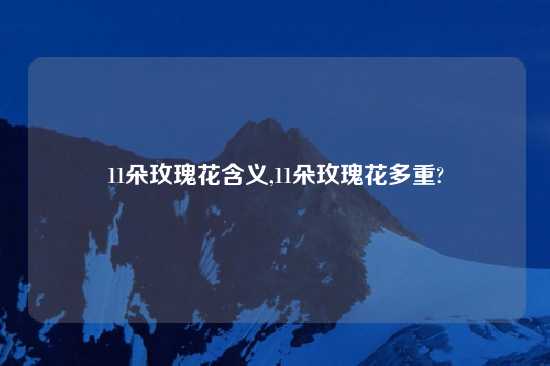 11朵玫瑰花含义,11朵玫瑰花多重?