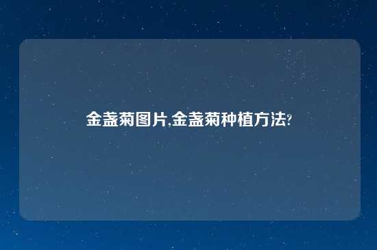 金盏菊图片,金盏菊种植方法?