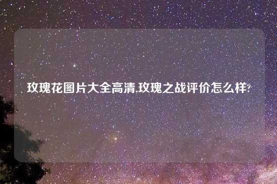 玫瑰花图片大全高清,玫瑰之战评价怎么样?