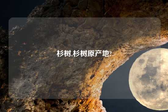 杉树,杉树原产地?