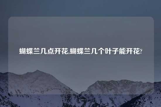 蝴蝶兰几点开花,蝴蝶兰几个叶子能开花?