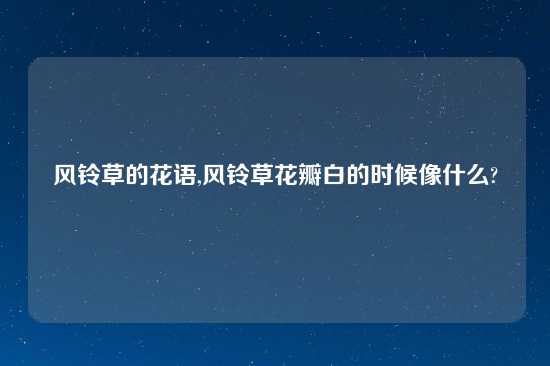 风铃草的花语,风铃草花瓣白的时候像什么?