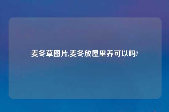 麦冬草图片,麦冬放屋里养可以吗?