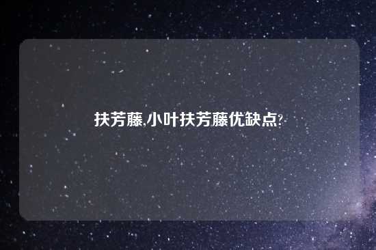 扶芳藤,小叶扶芳藤优缺点?