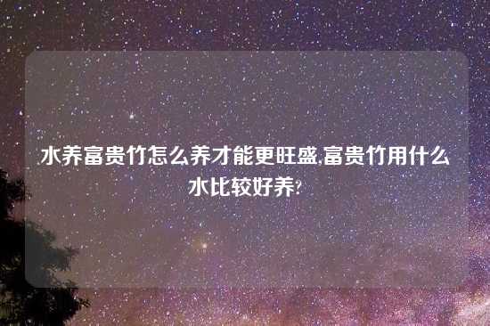 水养富贵竹怎么养才能更旺盛,富贵竹用什么水比较好养?