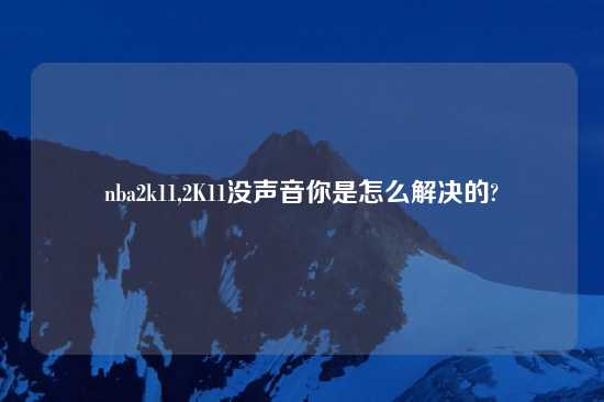 nba2k11,2K11没声音你是怎么解决的?