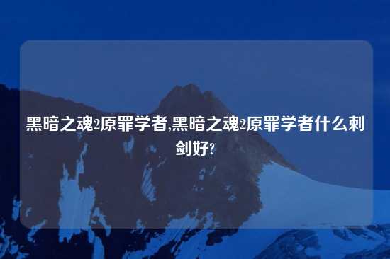 黑暗之魂2原罪学者,黑暗之魂2原罪学者什么刺剑好?