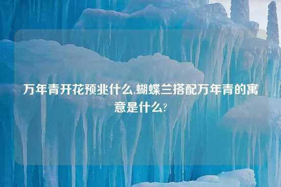 万年青开花预兆什么,蝴蝶兰搭配万年青的寓意是什么?