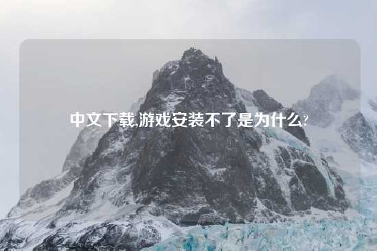 中文怎么玩,游戏安装不了是为什么?