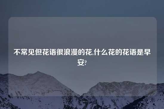 不常见但花语很浪漫的花,什么花的花语是早安?