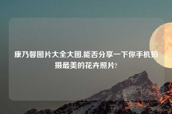 康乃馨图片大全大图,能否分享一下你手机拍摄最美的花卉照片?