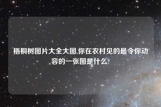 梧桐树图片大全大图,你在农村见的最令你动容的一张图是什么?