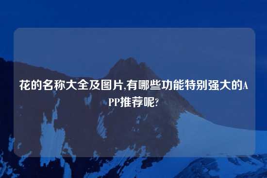 花的名称大全及图片,有哪些功能特别强大的APP推荐呢?