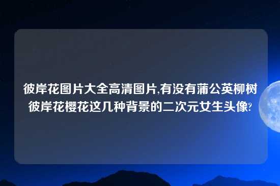 彼岸花图片大全高清图片,有没有蒲公英柳树彼岸花樱花这几种背景的二次元女生头像?