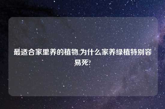最适合家里养的植物,为什么家养绿植特别容易死?
