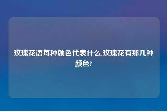 玫瑰花语每种颜色代表什么,玫瑰花有那几种颜色?