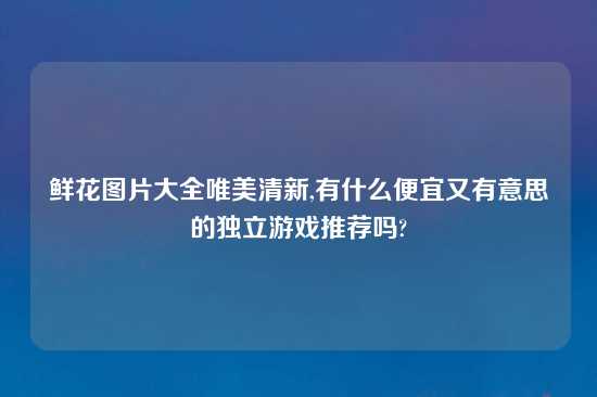 鲜花图片大全唯美清新,有什么便宜又有意思的独立游戏推荐吗?