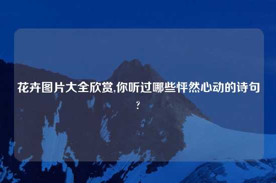 花卉图片大全欣赏,你听过哪些怦然心动的诗句?