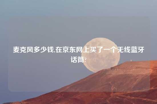 麦克风多少钱,在京东网上买了一个无线蓝牙话筒?