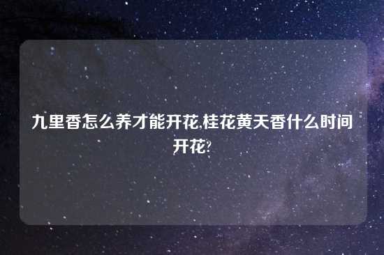 九里香怎么养才能开花,桂花黄天香什么时间开花?