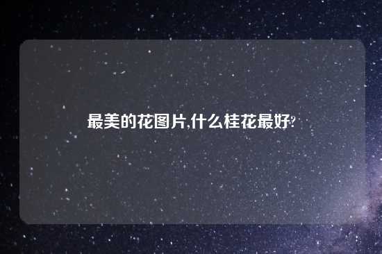 最美的花图片,什么桂花最好?
