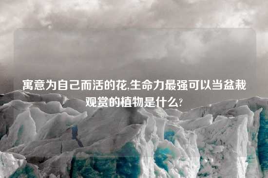 寓意为自己而活的花,生命力最强可以当盆栽观赏的植物是什么?