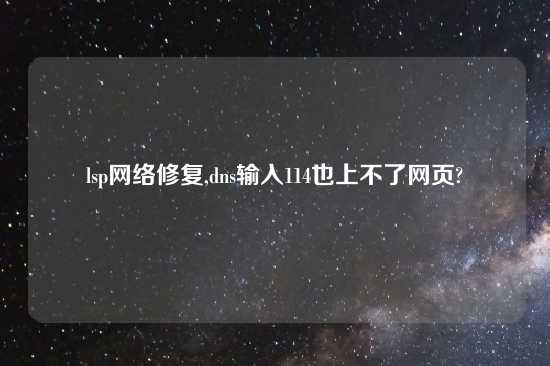 lsp网络修复,dns输入114也上不了网页?