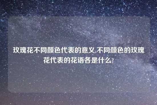 玫瑰花不同颜色代表的意义,不同颜色的玫瑰花代表的花语各是什么?