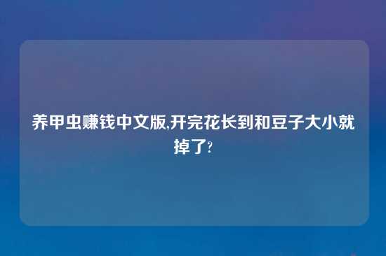 养甲虫赚钱中文版,开完花长到和豆子大小就掉了?