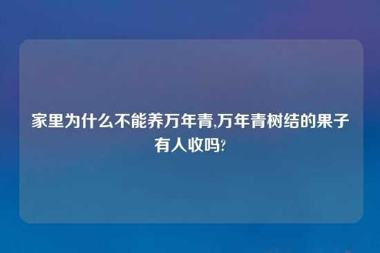 家里为什么不能养万年青,万年青树结的果子有人收吗?