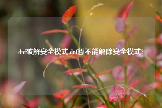 dnf破解安全模式,dnf暂不能解除安全模式?