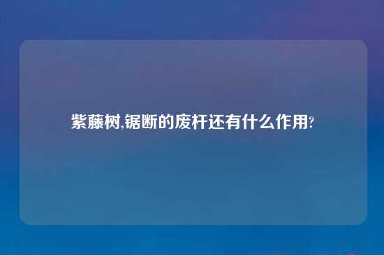 紫藤树,锯断的废杆还有什么作用?