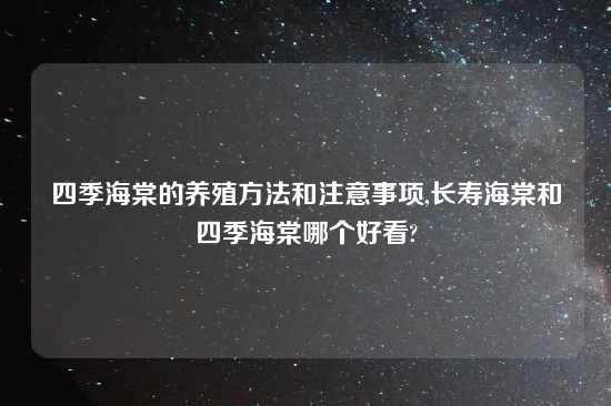 四季海棠的养殖方法和注意事项,长寿海棠和四季海棠哪个好看?