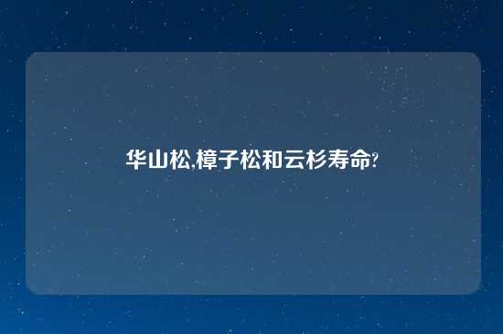 华山松,樟子松和云杉寿命?