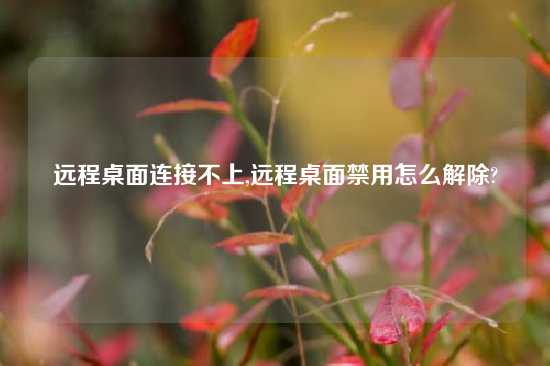 远程桌面连接不上,远程桌面禁用怎么解除?