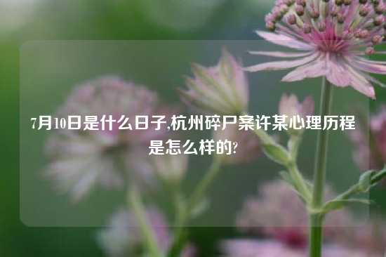 7月10日是什么日子,杭州碎尸案许某心理历程是怎么样的?