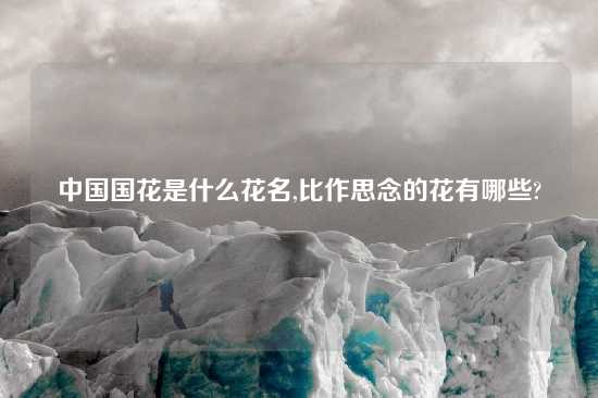中国国花是什么花名,比作思念的花有哪些?