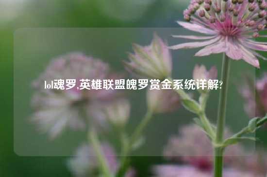 lol魂罗,英雄联盟魄罗赏金系统详解?