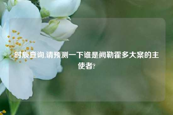 时辰查询,请预测一下谁是阙勒霍多大案的主使者?