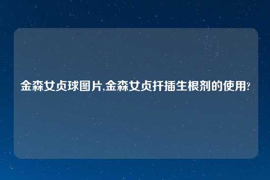 金森女贞球图片,金森女贞扦插生根剂的使用?