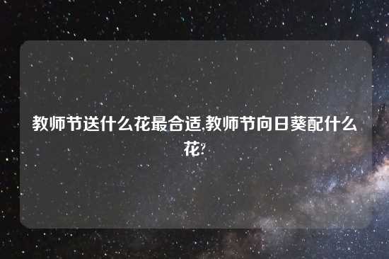 教师节送什么花最合适,教师节向日葵配什么花?