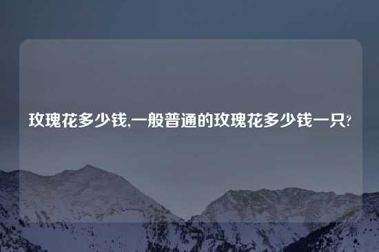 玫瑰花多少钱,一般普通的玫瑰花多少钱一只?