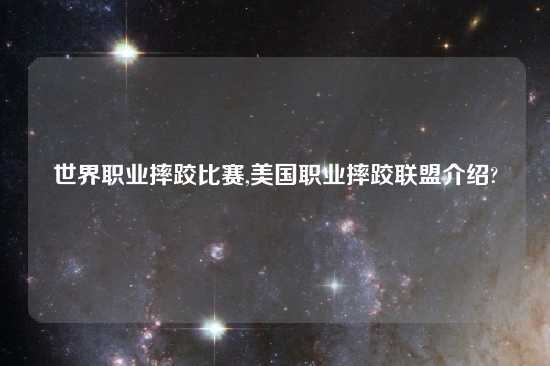 世界职业摔跤比赛,美国职业摔跤联盟介绍?